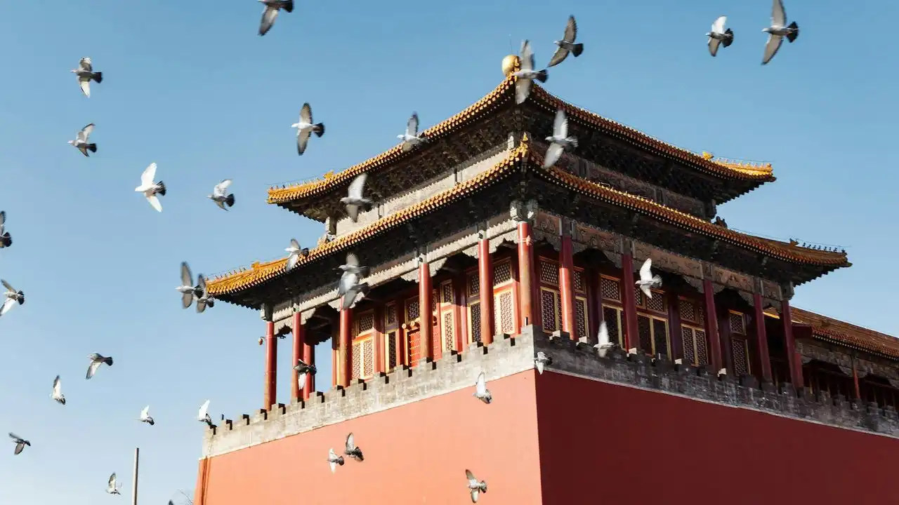 The Best Apps For Learning Cantonese: An In-Depth Review